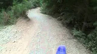 VID00013