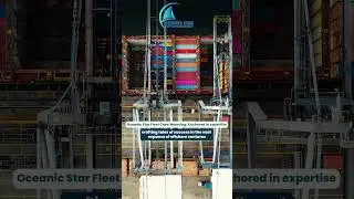 Meet the talented Crew Manning team of Oceanic Fleet, guiding skilled