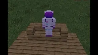 The Building Blocks of the Dream SMP- a discourse community
