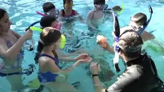 Build a Coral Reef with Deep Blue Discoveries