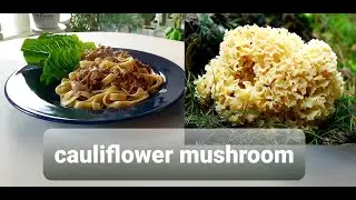cauliflower mushroom recipe
