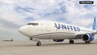 Flight from LAX forced to divert after pilot forgets passport
