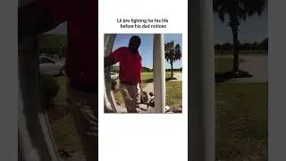 father will help... eventually #memes #funny #funnyclips #tiktok #reels #shorts