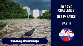 30 days challenge Set Phrases Устойчивые выражения Day 11 