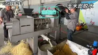 Application and Advantages of Screw Press for Corn Husk Dewatering #chuantai machinery
