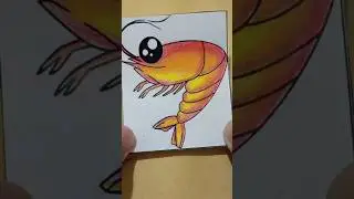 Colouring Shrimp. #shorts