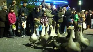 Torrevieja, Costa Blanca, New Year Fiesta  Spain 2012