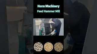 High Quality Feed Hammer Mill, Grain Hammer Mill for Sale - Herm Machinery #hammermill