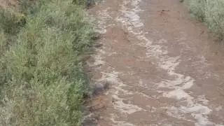 Head of a flash flood rushes down Santa Fe River