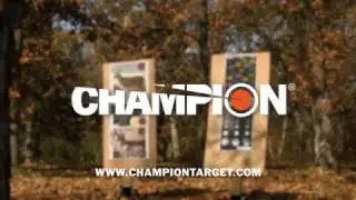 Bring the fun to the range -- Champion&reg; VisiColor&reg; Targets