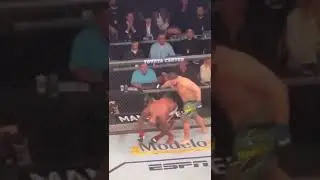 Derrick Lewis getting Knocked Out by Tai Tuivasa| UFC 271