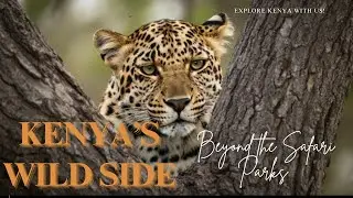 Kenya's WildSide: Beyond the Safari Parks / You Must See before you die