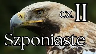 Wszystkie szponiaste Polski - Prezentacja gatunków cz.2  | Podcast o Zwierzętach nr 23