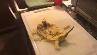 Banana Pie