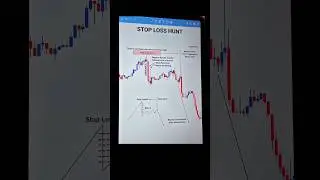Stoploss Hunting In trading 🔥 #trading #treding #stoplosshunting #daytrading #shorts #short