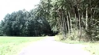 10 Halbendorf