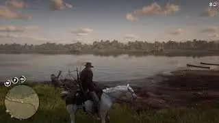 RDR 2 | Series 28