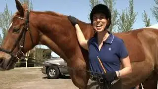 Saddle Fit Tips for Female Riders Index Part 2 - Courtesy of Saddlefit4Life&reg;