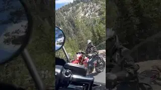 Feeling the freedom #harleydavison #bikershorts #california #likeandsubscribe