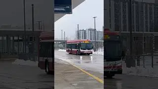 TTC buses at Mt Dennis station new video coming Friday December 26 2025