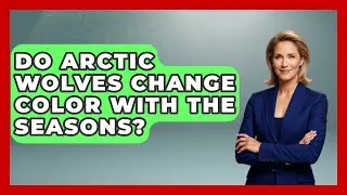 Do Arctic Wolves Change Color with the Seasons? | Polar Regions Uncovered