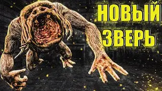 ВПЕРВЫЕ ТАКИХ ВИЖУ / STALKER ДОЛИНА ШОРОХОВ + GUNSLINGER MOD #5