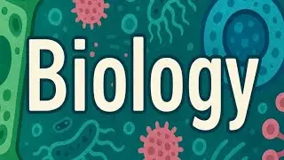 Ecology and environment all questions