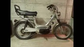 Restauro Atala Rizzato Califfone 1976