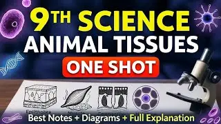 9th Science - Animal Tissues in ONE SHOT ( Best Notes) 🗡️