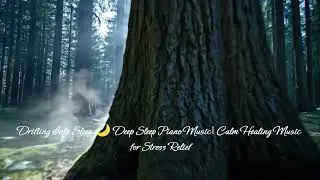 Drifting Into Sleep 🌙 Deep Sleep Piano Music | Calm Healing Music for Stress Relief