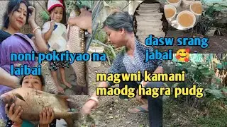 Magwni hagra pusrangbai . Noni pokriyao bwrai buri na hombwi magwni kamani maobai ase 🥰🙏