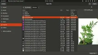 Task: NFT-Minter , WEC club intresig recs task