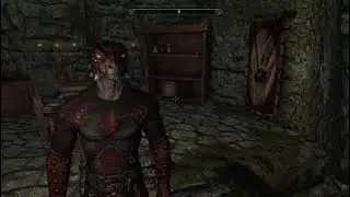 Skyrim Builds: The New Shadowscale
