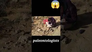INDIAN Rare Discovery 😱 ? | #shorts #viralshorts  #youtubeshorts#FACTSFISH