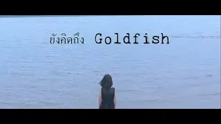 [Lyrics] ยังคิดถึง - Goldfish