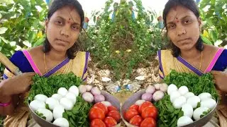 Egg Masala Curry | spicy tomato gravy | simple egg curry recipes