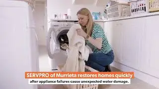 SERVPRO of Murrieta: Sewage Backups