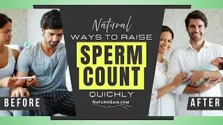 What Increases Sperm Count: Introducing Nature's Secrets to Maximize Fertility