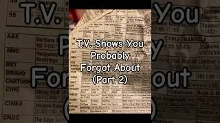 TV Shows You Probably Forgot About (Part 2)