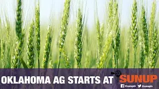 Scouting for Aphids (4/10/21)