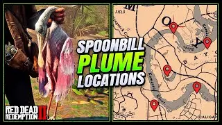 RDR2: Spoonbill Plume Locations - FAST & EASY Guide (Duchesses & Other Animals Guide)