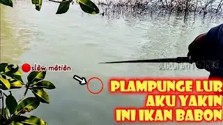 Rejeki ada yang ngatur..!!!mancing belanak Langsung tarik kalo pelampunya bergetar