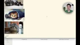 Unveiling rclip's New Power: Use AI to Search Visually Similar Images, Powered by OpenAI&rsquo;s CLIP