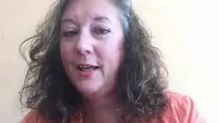 What is being a county councillor like?