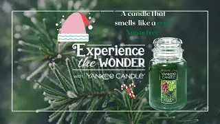 Cedar &  Balsam Scented Candle 🎄 Best Yankee Candles ✨