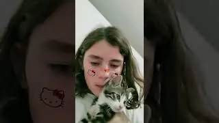 les filtres les plus kawaii avec mon chat