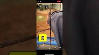 اعلان بداية تربية غنم النعيم وادخال المرضعات للتزاوج  وهل ستتحق اقصر دورة انتاجية فيها؟