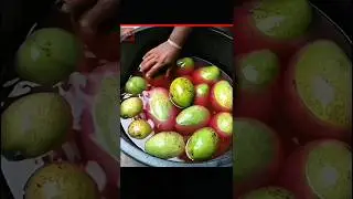 Chemical Mango vs Real Mango 😱 #facts #shorts
