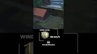 🍃Wind and Hurricane Comparison! 🤯💨