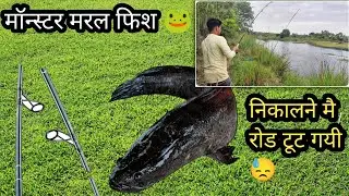 Fishing Video | Big Snakehead Fishing Video | Murrel Fishing  | Rizwan Fishing#snakehead